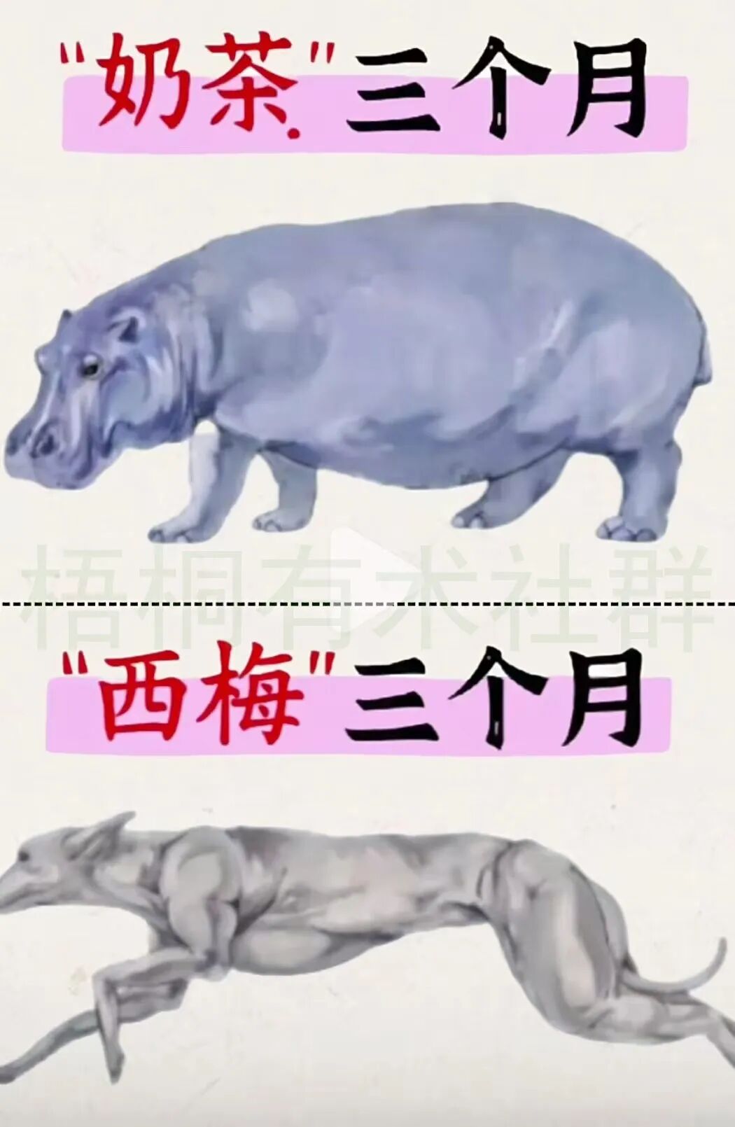 微信图片_20250930135639_4_42.jpg